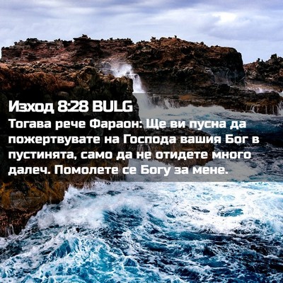 Picture 02 - Изход 8:28 BULG - Тогава рече Фараон: Ще ви - Bible Verse Picture