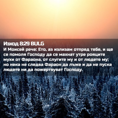 Picture 02 - Изход 8:29 BULG - И Моисей рече: Ето, аз - Bible Verse Picture