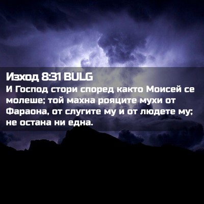 Picture 02 - Изход 8:31 BULG - И Господ стори според - Bible Verse Picture