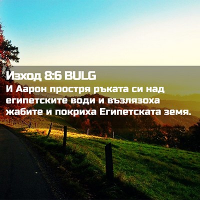 Picture 02 - Изход 8:6 BULG - И Аарон простря ръката си - Bible Verse Picture