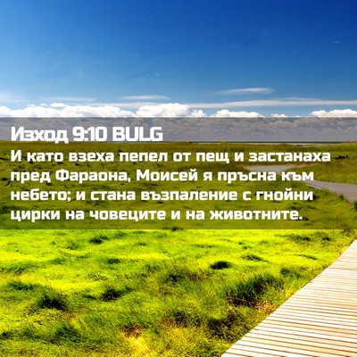 Picture 02 - Изход 9:10 BULG - И като взеха пепел от пещ и - Bible Verse Picture