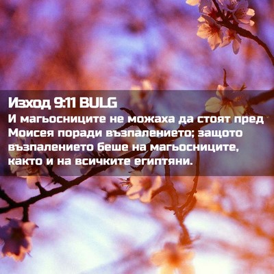 Picture 02 - Изход 9:11 BULG - И магьосниците не можаха - Bible Verse Picture