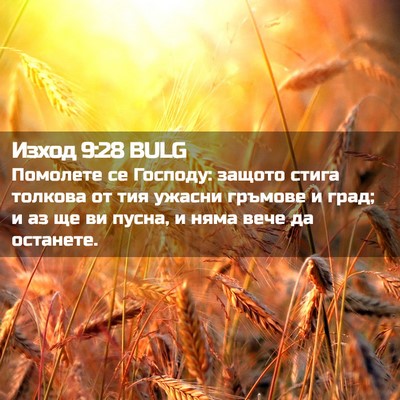 Picture 02 - Изход 9:28 BULG - Помолете се Господу: - Bible Verse Picture