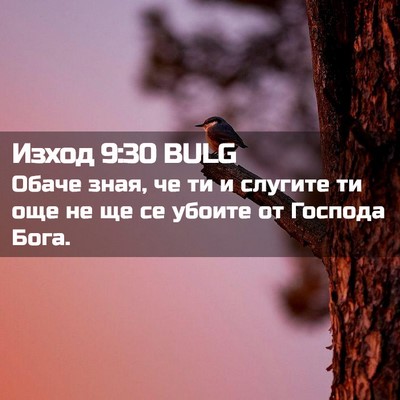 Picture 02 - Изход 9:30 BULG - Обаче зная, че ти и слугите - Bible Verse Picture