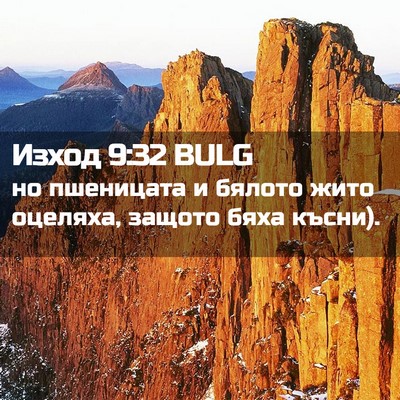 Picture 02 - Изход 9:32 BULG - но пшеницата и бялото жито - Bible Verse Picture
