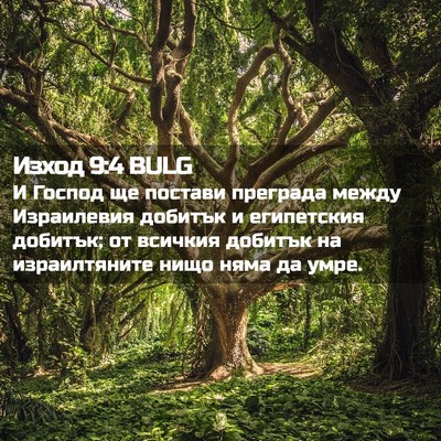Picture 02 - Изход 9:4 BULG - И Господ ще постави - Bible Verse Picture