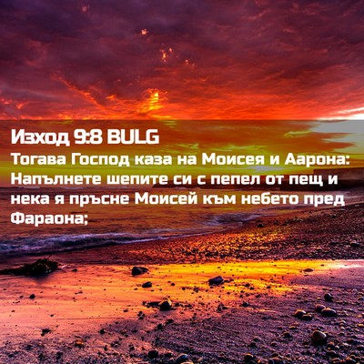 Picture 02 - Изход 9:8 BULG - Тогава Господ каза на - Bible Verse Picture