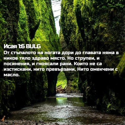 Picture 02 - Исая 1:6 BULG - От стъпалото на ногата - Bible Verse Picture
