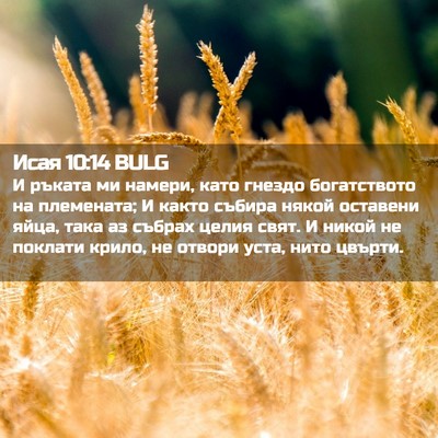 Picture 02 - Исая 10:14 BULG - И ръката ми намери, като - Bible Verse Picture