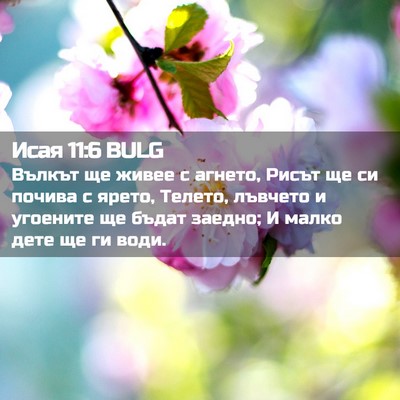Picture 02 - Исая 11:6 BULG - Вълкът ще живее с агнето, - Bible Verse Picture
