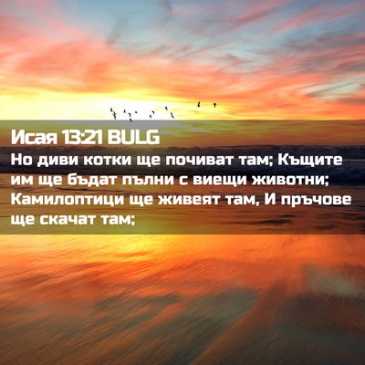 Picture 02 - Исая 13:21 BULG - Но диви котки ще почиват - Bible Verse Picture