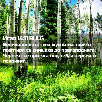 Picture 02 - Исая 14:11 BULG - Великолепието ти и шумът - Bible Verse Picture