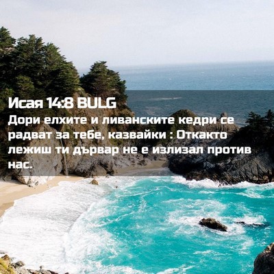 Picture 02 - Исая 14:8 BULG - Дори елхите и ливанските - Bible Verse Picture