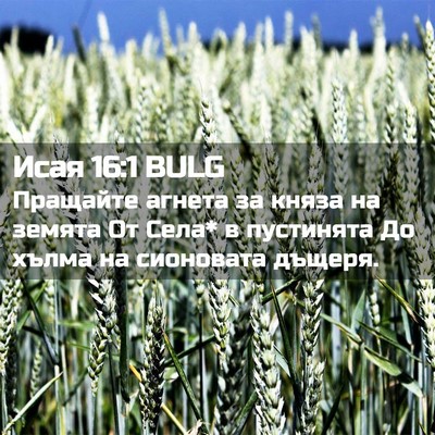 Picture 02 - Исая 16:1 BULG - Пращайте агнета за княза - Bible Verse Picture