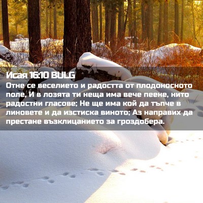 Picture 02 - Исая 16:10 BULG - Отне се веселието и - Bible Verse Picture