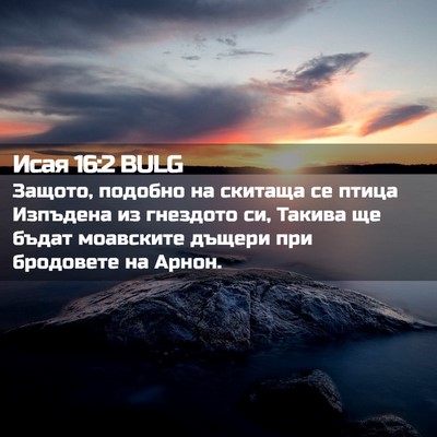 Picture 02 - Исая 16:2 BULG - Защото, подобно на скитаща - Bible Verse Picture