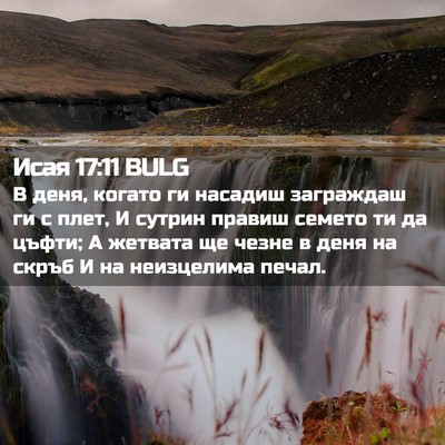 Picture 02 - Исая 17:11 BULG - В деня, когато ги насадиш - Bible Verse Picture