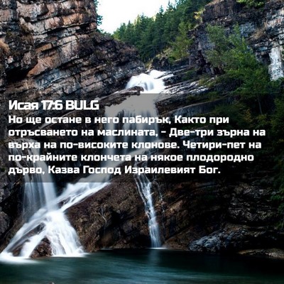 Picture 02 - Исая 17:6 BULG - Но ще остане в него - Bible Verse Picture