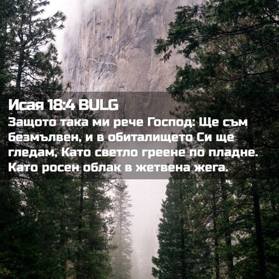 Picture 02 - Исая 18:4 BULG - Защото така ми рече Господ: - Bible Verse Picture