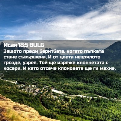 Picture 02 - Исая 18:5 BULG - Защото преди беритбата, - Bible Verse Picture