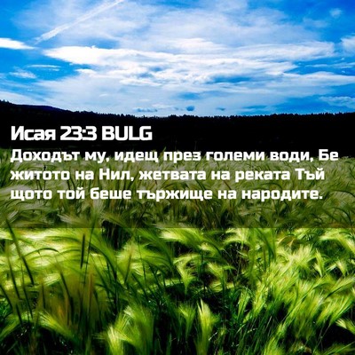 Picture 02 - Исая 23:3 BULG - Доходът му, идещ през - Bible Verse Picture