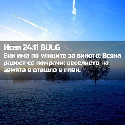 Picture 02 - Исая 24:11 BULG - Вик има по улиците за - Bible Verse Picture