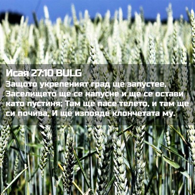 Picture 02 - Исая 27:10 BULG - Защото укрепеният град ще - Bible Verse Picture