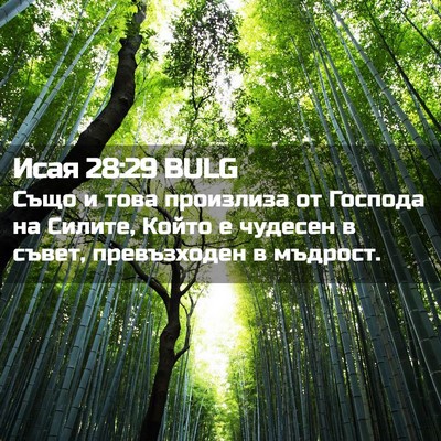 Picture 02 - Исая 28:29 BULG - Също и това произлиза от - Bible Verse Picture