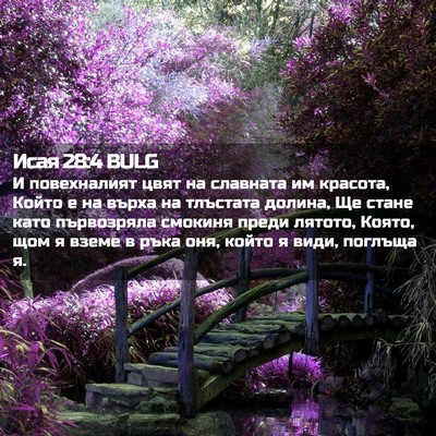 Picture 02 - Исая 28:4 BULG - И повехналият цвят на - Bible Verse Picture