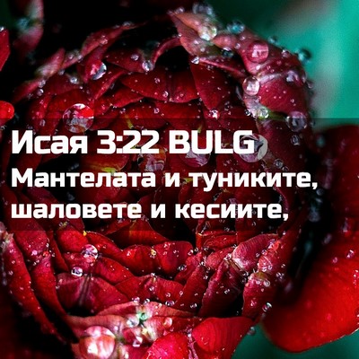 Picture 02 - Исая 3:22 BULG - Мантелата и туниките, - Bible Verse Picture