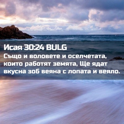 Picture 02 - Исая 30:24 BULG - Също и воловете и - Bible Verse Picture