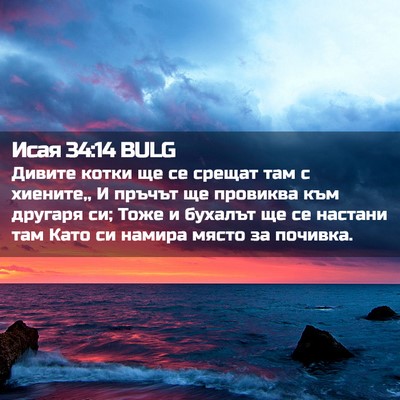 Picture 02 - Исая 34:14 BULG - Дивите котки ще се срещат - Bible Verse Picture