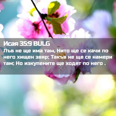 Picture 02 - Исая 35:9 BULG - Лъв не ще има там, Нито ще - Bible Verse Picture