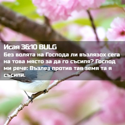 Picture 02 - Исая 36:10 BULG - Без волята на Господа ли - Bible Verse Picture
