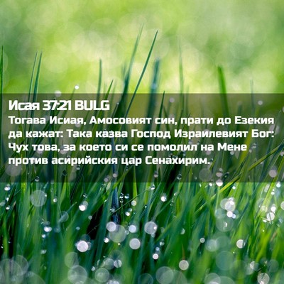Picture 02 - Исая 37:21 BULG - Тогава Исиая, Амосовият - Bible Verse Picture