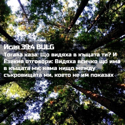 Picture 02 - Исая 39:4 BULG - Тогава каза: Що видяха в - Bible Verse Picture
