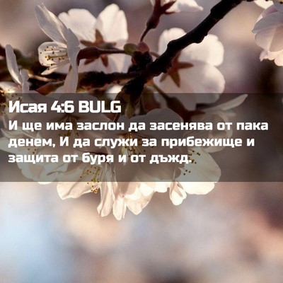 Picture 02 - Исая 4:6 BULG - И ще има заслон да засенява - Bible Verse Picture