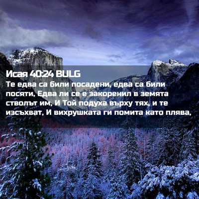 Picture 02 - Исая 40:24 BULG - Те едва са били посадени, - Bible Verse Picture
