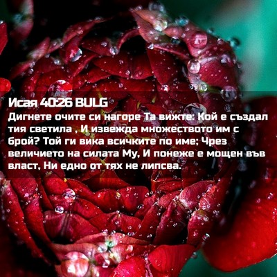 Picture 02 - Исая 40:26 BULG - Дигнете очите си нагоре Та - Bible Verse Picture