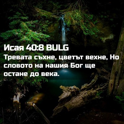 Picture 02 - Исая 40:8 BULG - Тревата съхне, цветът - Bible Verse Picture