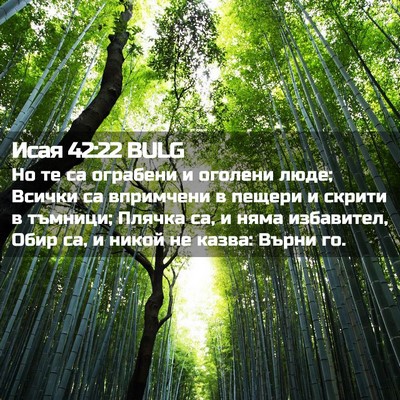 Picture 02 - Исая 42:22 BULG - Но те са ограбени и оголени - Bible Verse Picture