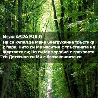 Picture 02 - Исая 43:24 BULG - Не си купил за Мене - Bible Verse Picture