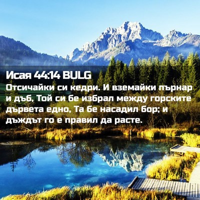 Picture 02 - Исая 44:14 BULG - Отсичайки си кедри. И - Bible Verse Picture