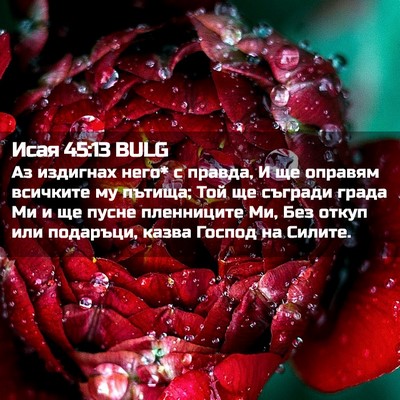 Picture 02 - Исая 45:13 BULG - Аз издигнах него* с правда, - Bible Verse Picture