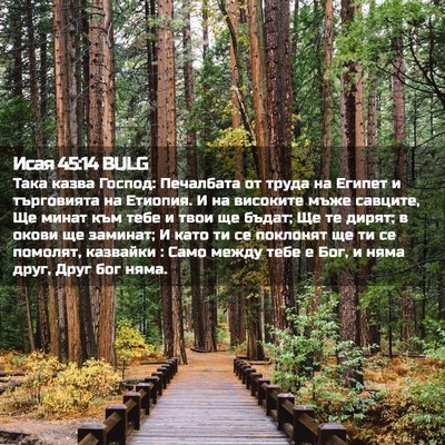Picture 02 - Исая 45:14 BULG - Така казва Господ: - Bible Verse Picture