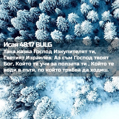 Picture 02 - Исая 48:17 BULG - Така казва Господ - Bible Verse Picture