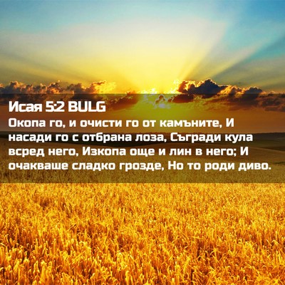 Picture 02 - Исая 5:2 BULG - Окопа го, и очисти го от - Bible Verse Picture