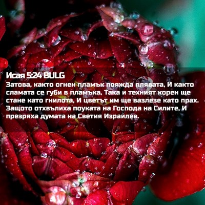 Picture 02 - Исая 5:24 BULG - Затова, както огнен пламък - Bible Verse Picture
