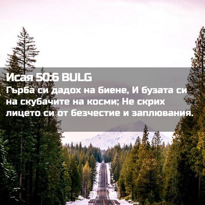 Picture 02 - Исая 50:6 BULG - Гърба си дадох на биене, И - Bible Verse Picture
