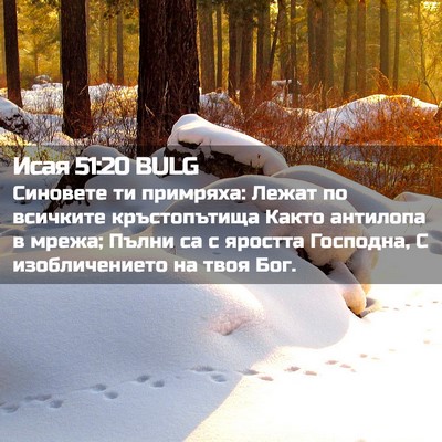 Picture 02 - Исая 51:20 BULG - Синовете ти примряха: - Bible Verse Picture